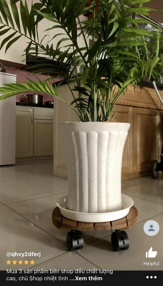 Đĩa Nhựa Lót Chậu Cây - Khay Lót Chậu Cây Cảnh Đẹp - Full Size Kích Thước