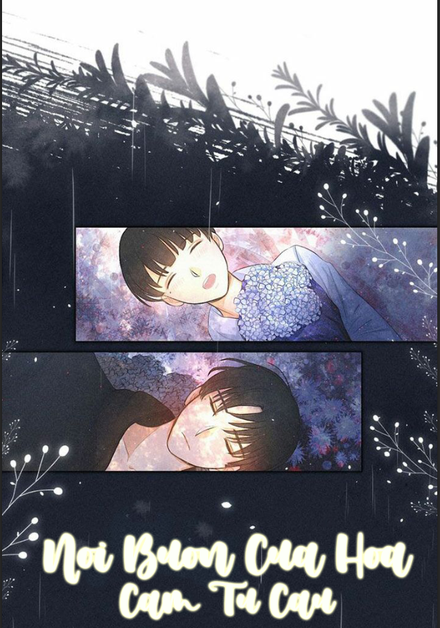 nỗi buồn của hoa cẩm tú cầu chapter 33 11