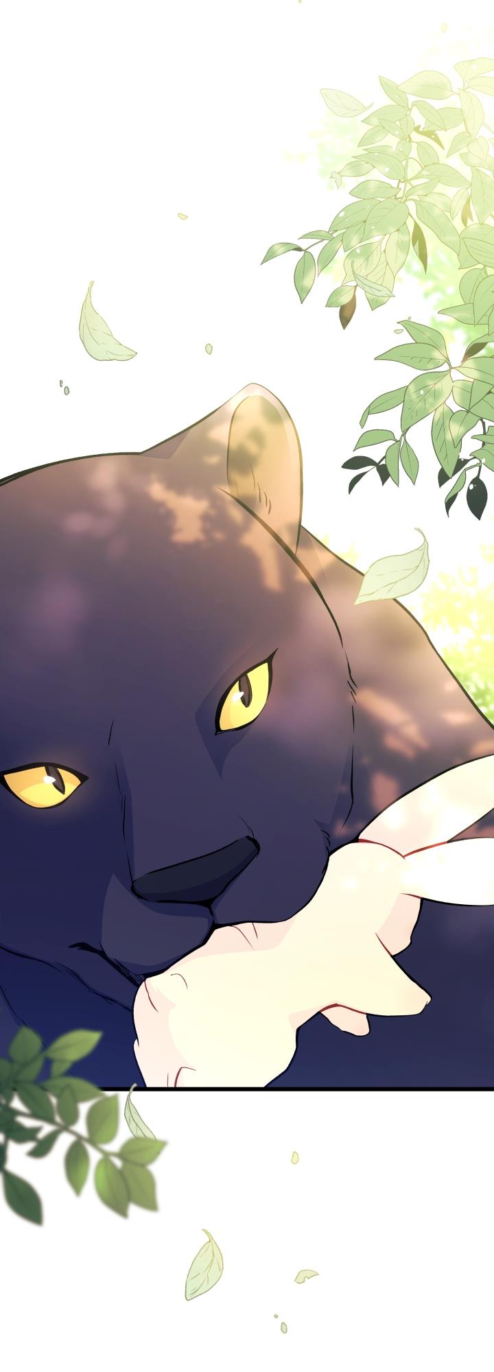 mối liên kết giữa báo đen và bé thỏ chapter 27 59