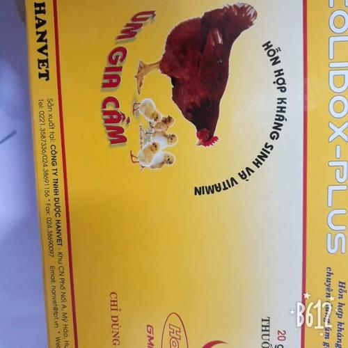 Colidox 20g úm gia cầm cho gia cầm