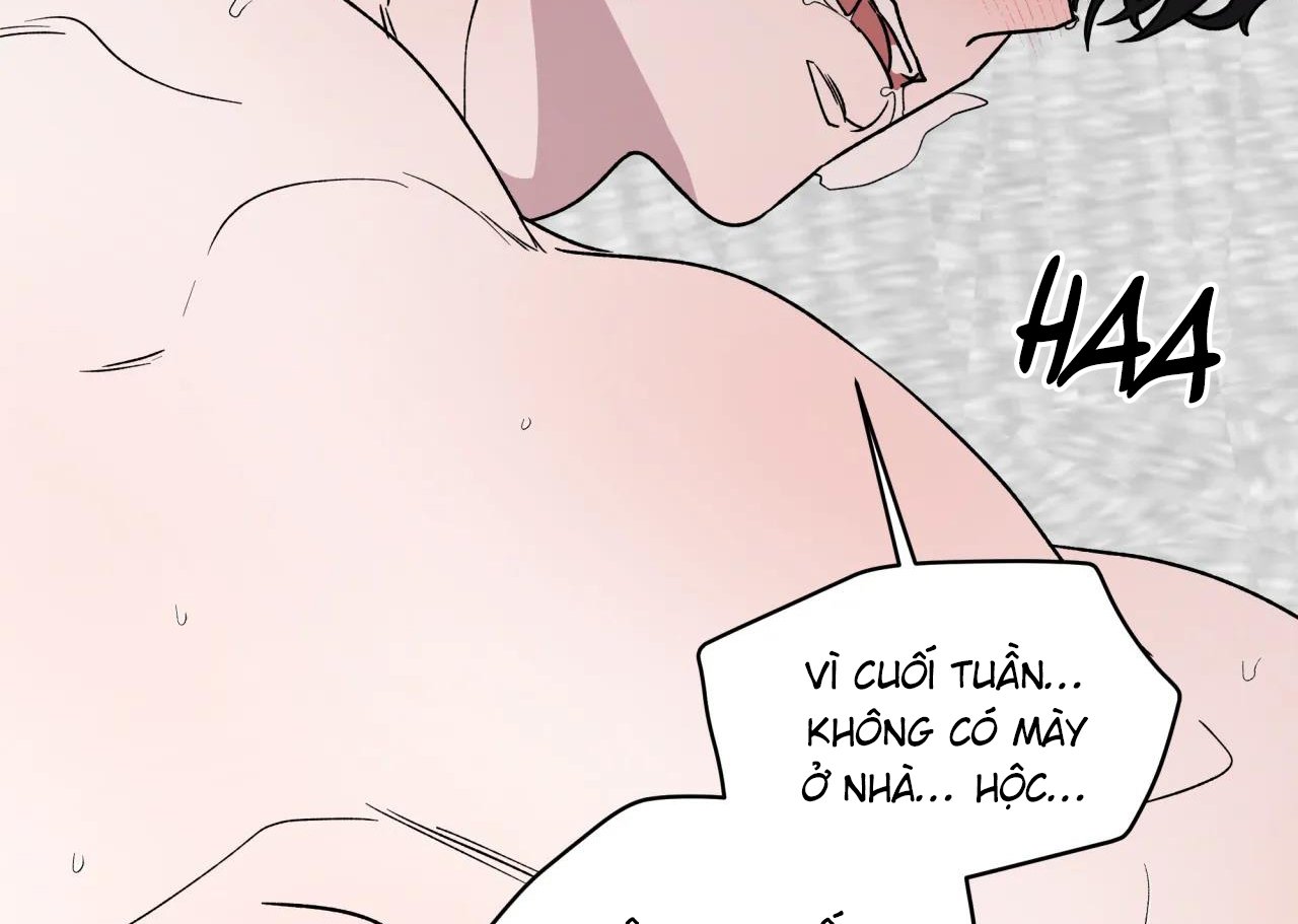 ám ảnh pheromone chapter 63 72
