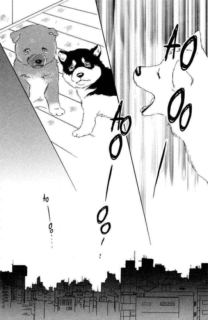 deep love - pao no monogatari chapter 1 25