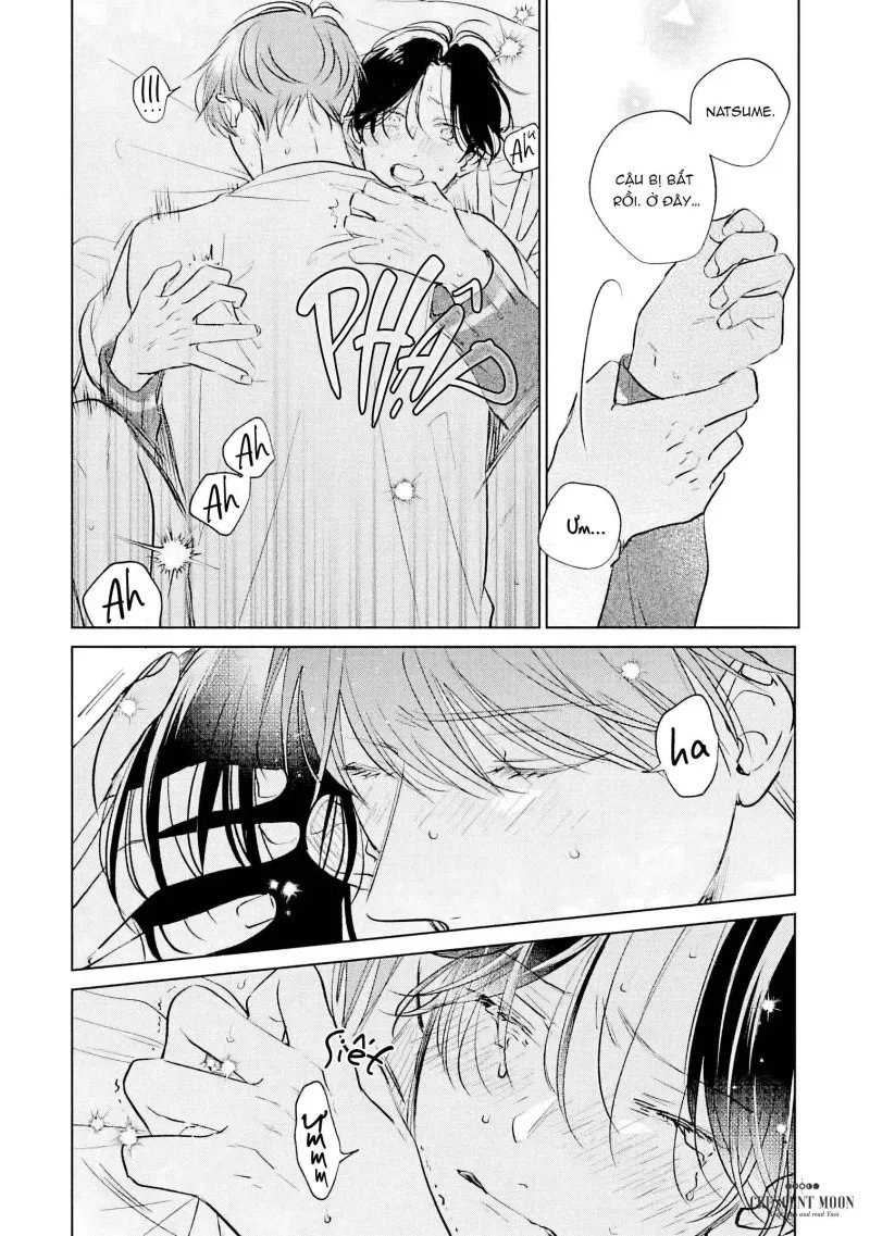 có lẽ chúng ta không thể trở thành bạn đời chapter 5 35