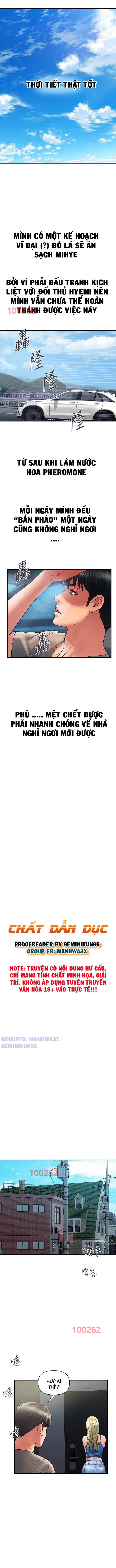 chất dẫn dục chapter 30 1