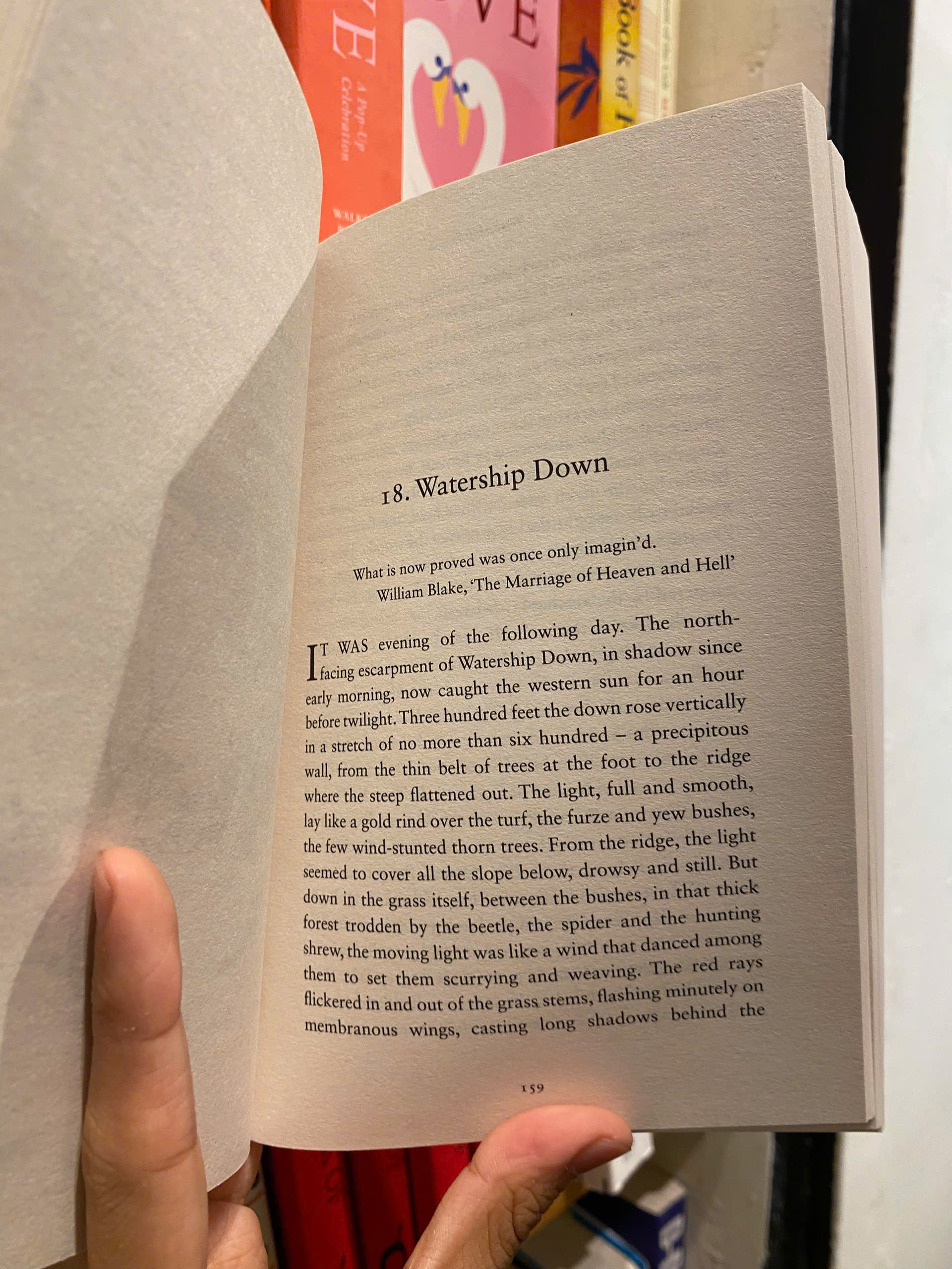 Sách - Watership Down (A Puffin Book) by Richard Adams - Classics, Fiction, Fantasy ,Young Adult