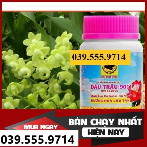 PHÂN BÓN ĐẦU TRÂU 901 DƯỠNG HOA LÂU TÀN