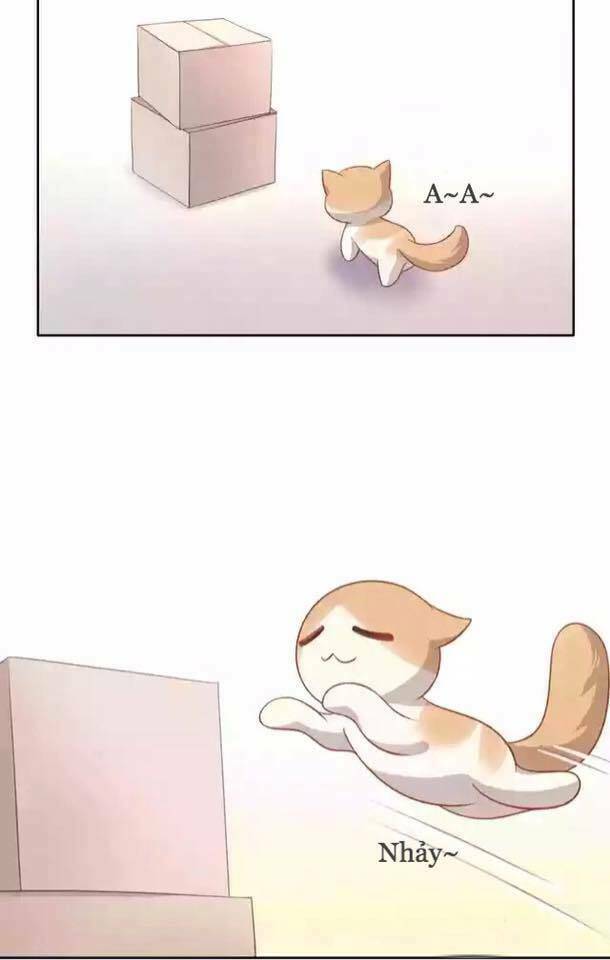 dưới móng vuốt mèo chapter 12 10
