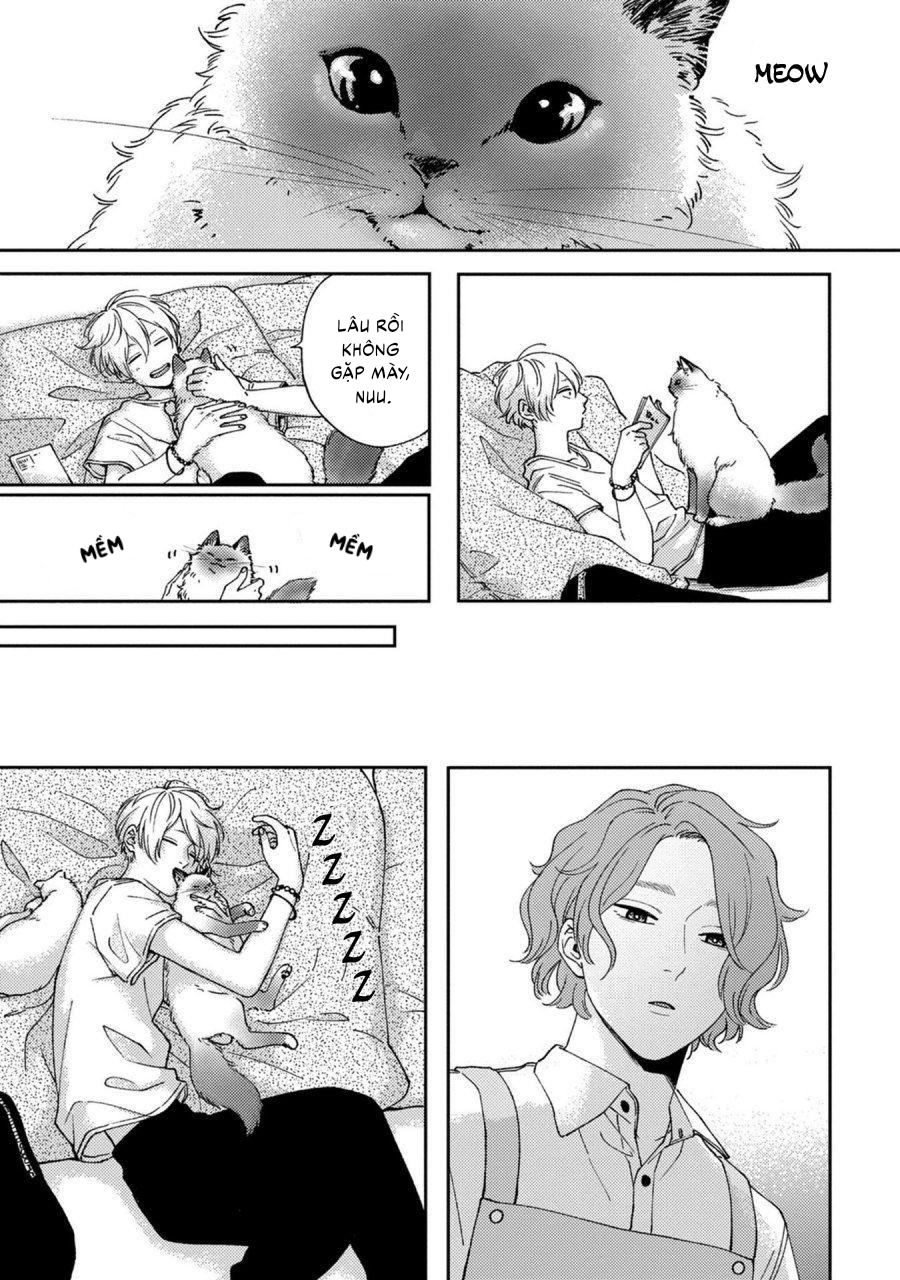 koi kirari, kage sururi chapter 1 8