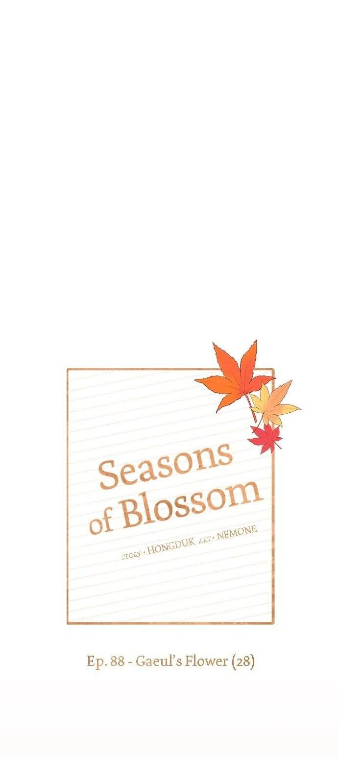 thanh xuân rực rỡ - season of blossom chapter 88 15