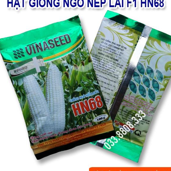 Hạt Giống Ngô Nếp Dẻo Thơm Ngon Đều Hạt HN68 500gram