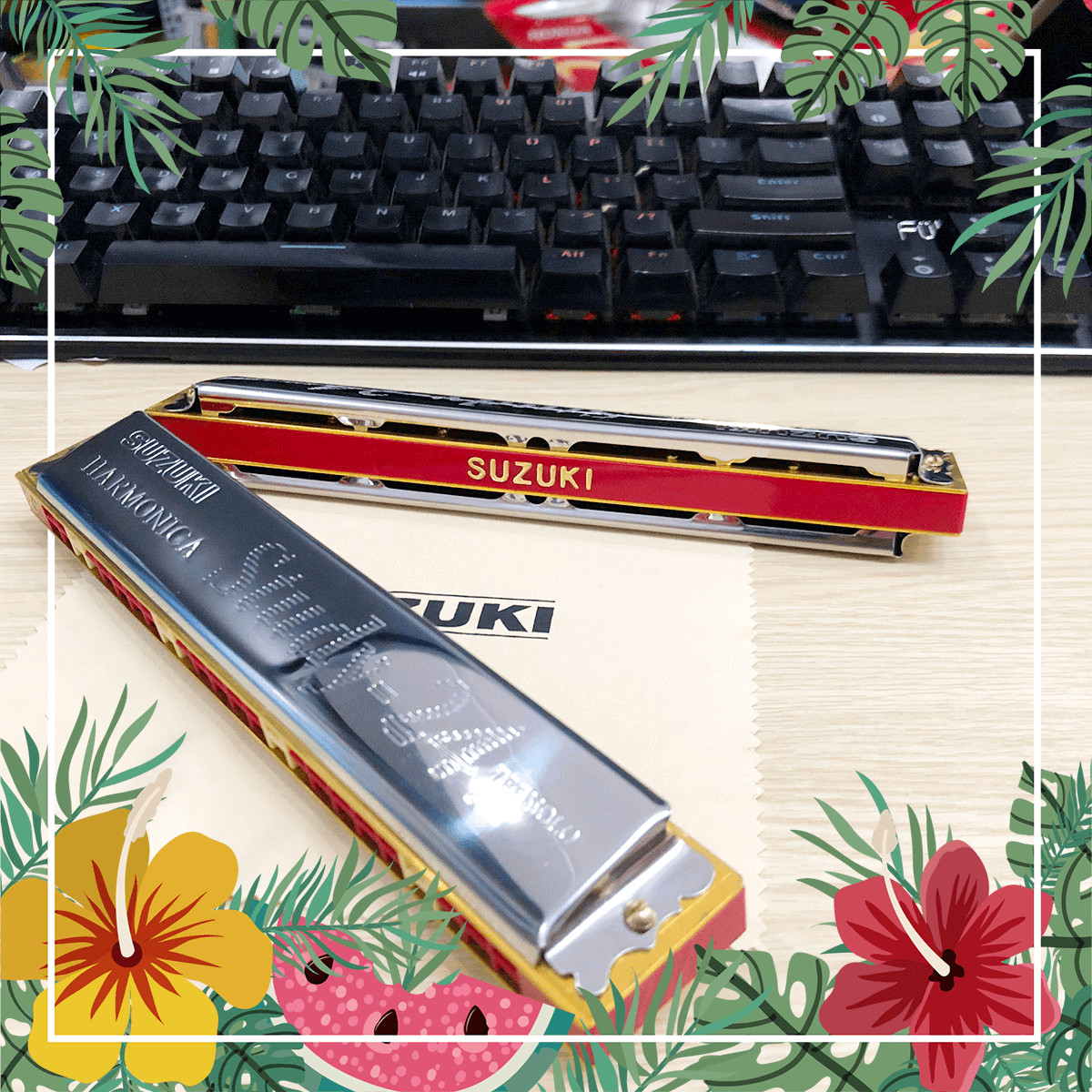 Kèn Harmonica 24 Lỗ Suzuki Tremolo Study 24 Nhật Bản Hàng Chính Hãng