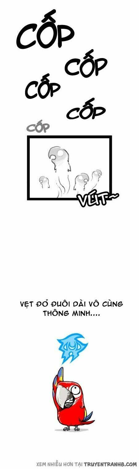 earth, human, and animal chapter 11 13