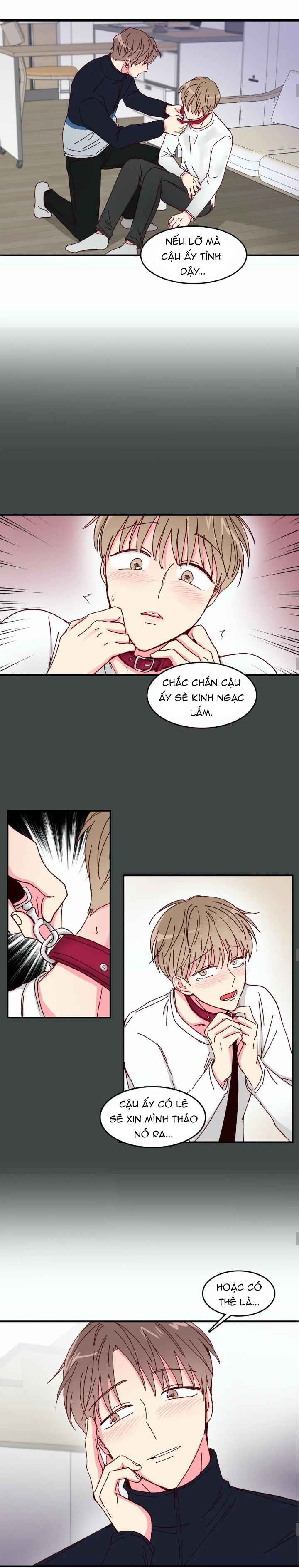 món tráng miệng của sếp tổng chapter 16 5