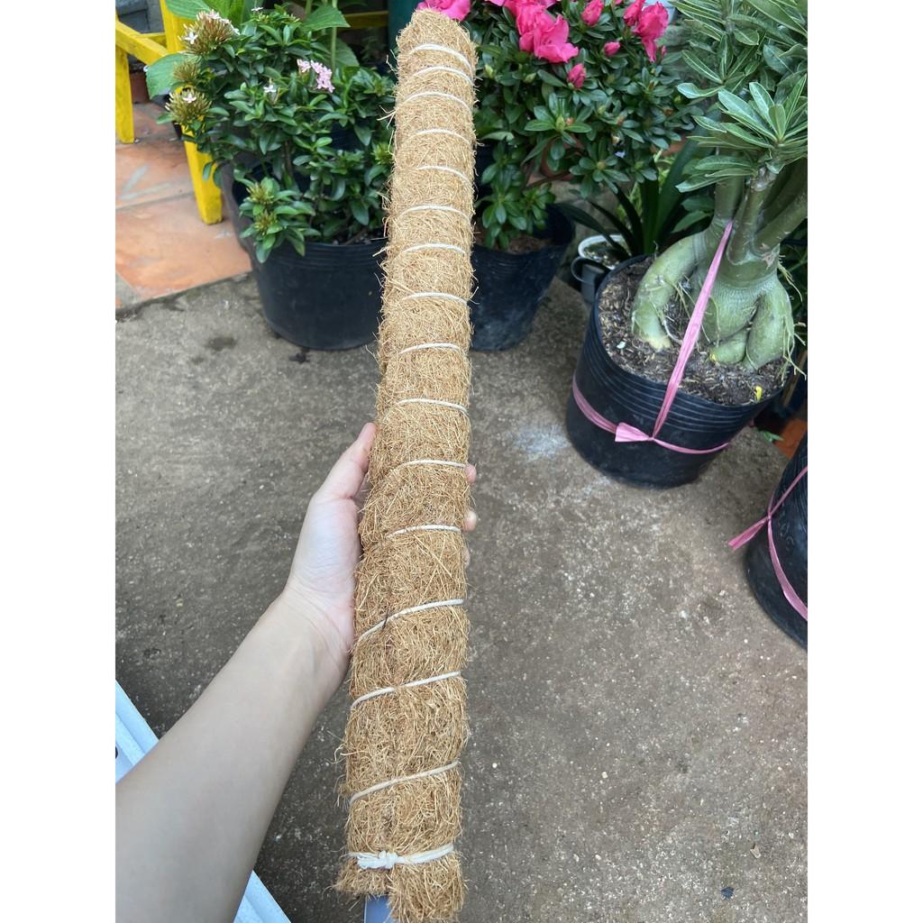 Trụ sơ dừa 130cm. đã khử muối, sợi coton