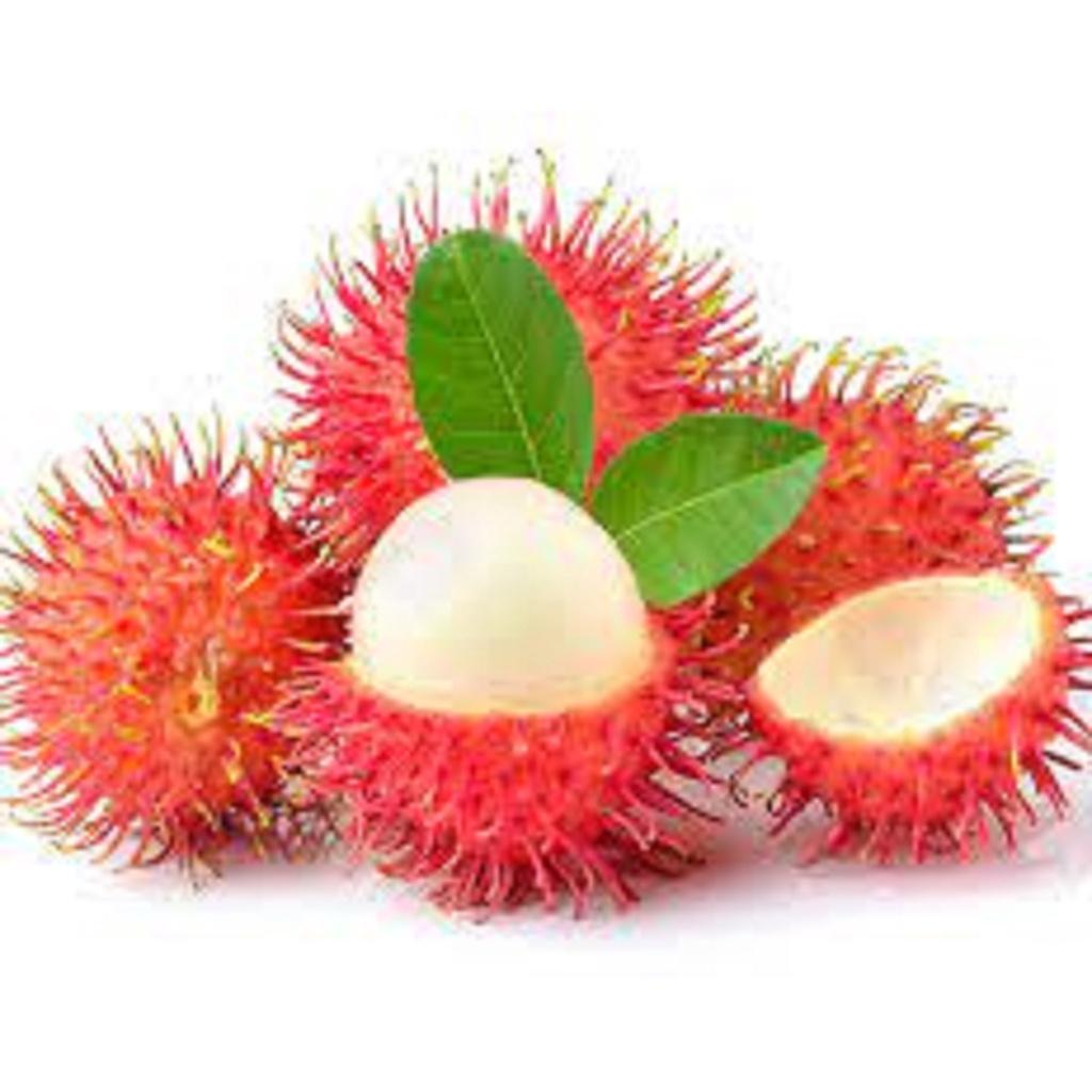 CÂY GIỐNG CHÔM CHÔM THÁI GHÉP