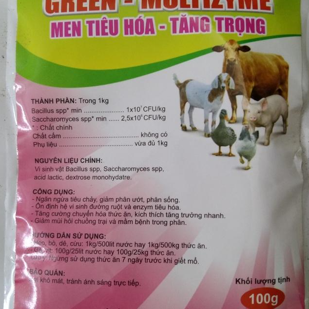 1 GÓI MEN TIÊU HÓA - TĂNG TRỌNG