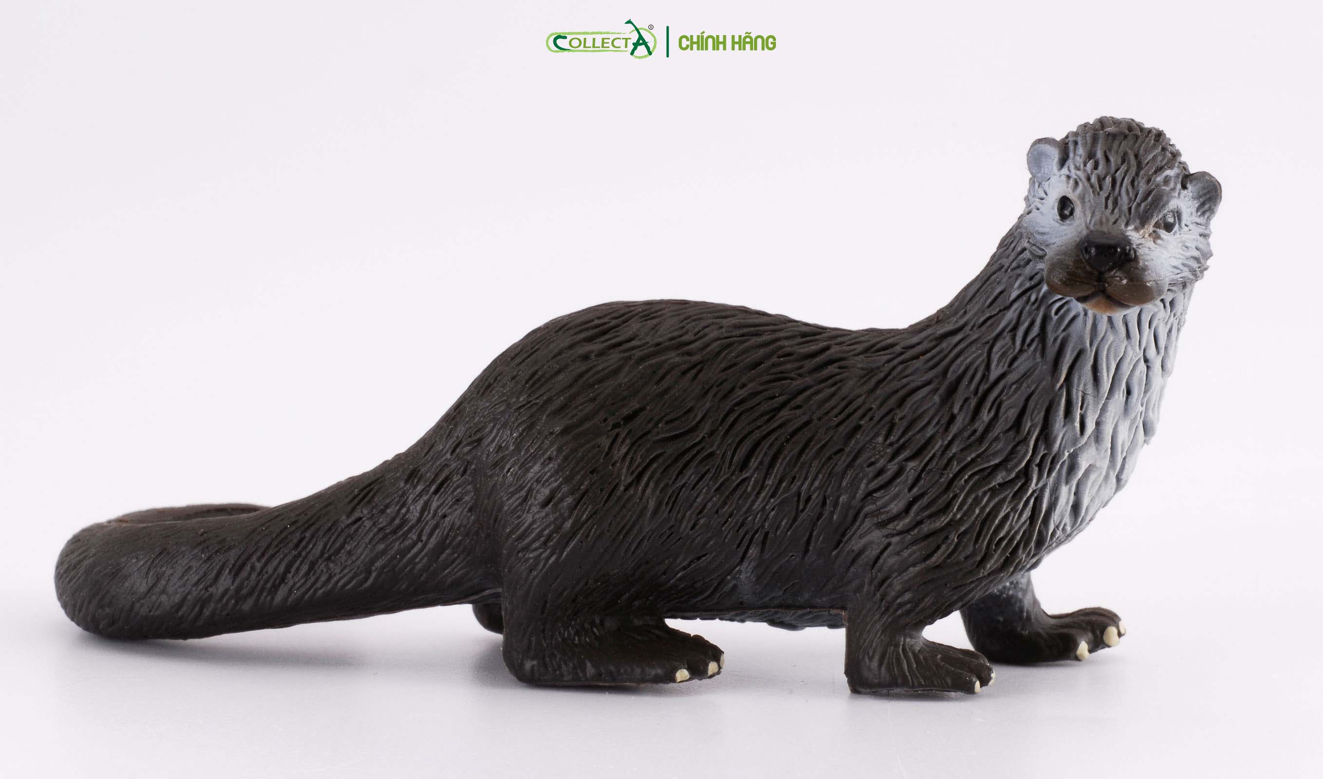 Mô hình thu nhỏ: Rái Cá - Common Otter, hiệu: CollectA, mã HS 9651370[88053] -  Chất liệu an toàn cho trẻ - Hàng chính hãng