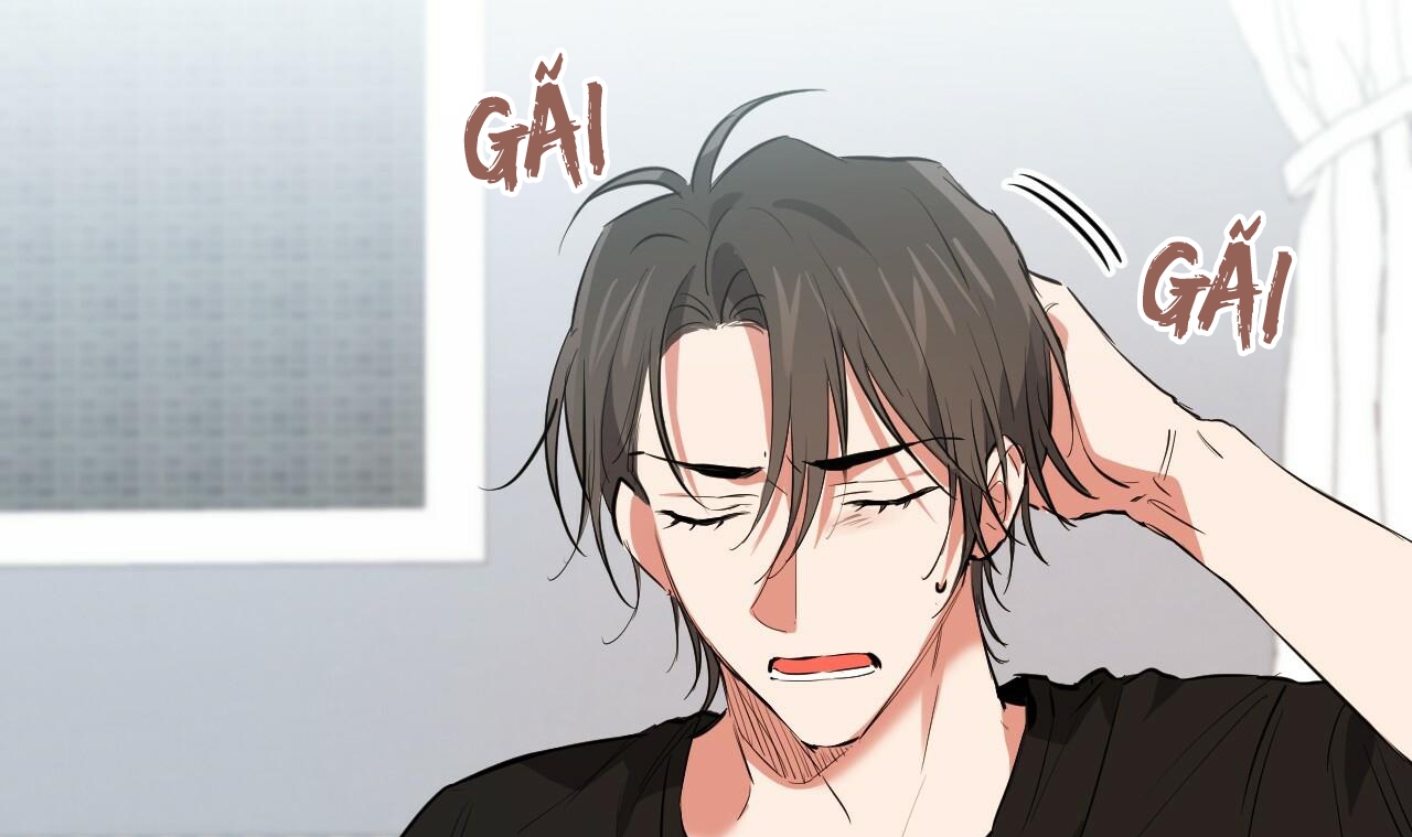 những chú thỏ của hapypy chapter 51 202