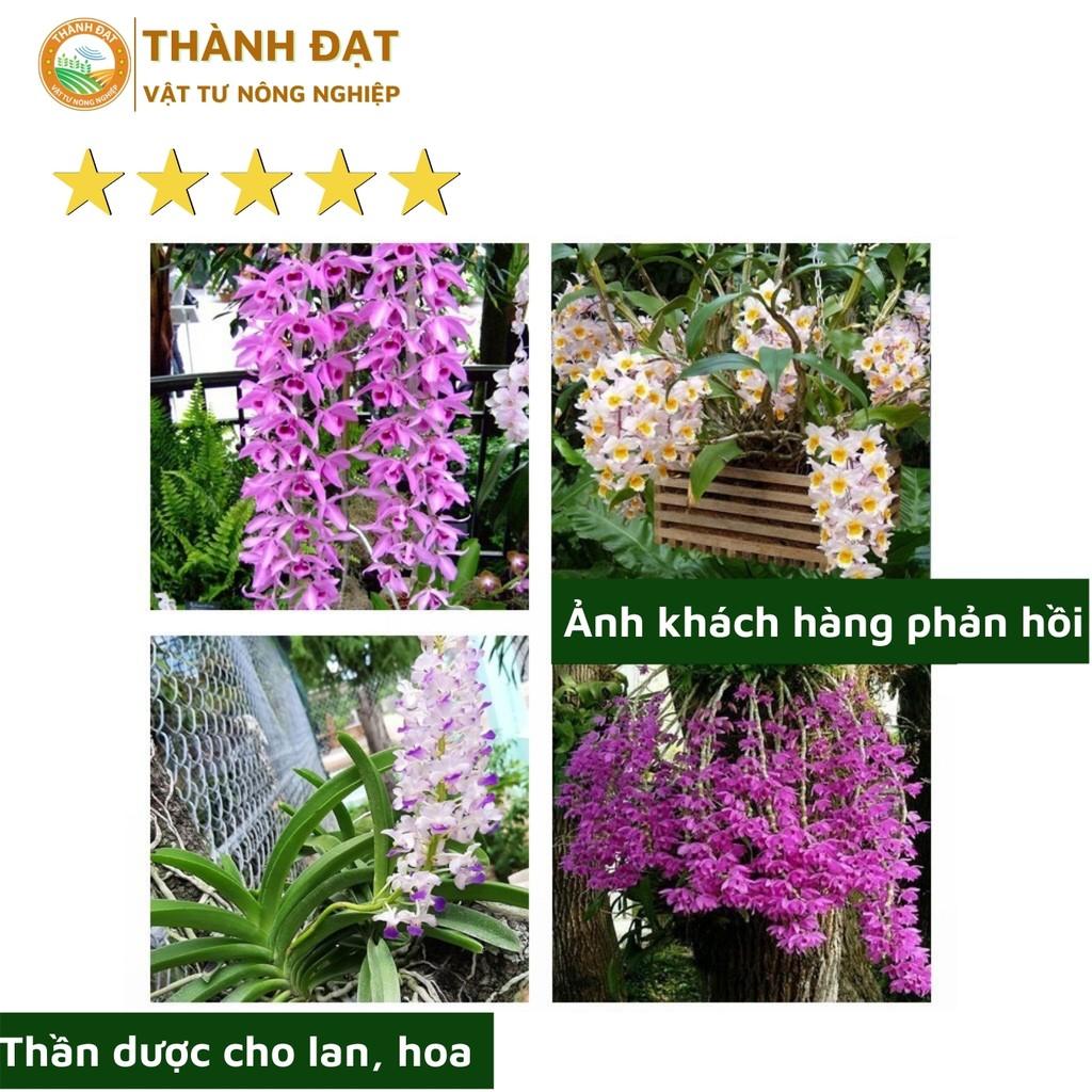 Phân trùn quế dạng hạt mận dùng cho hoa lan và hoa hồng (túi 1kg)