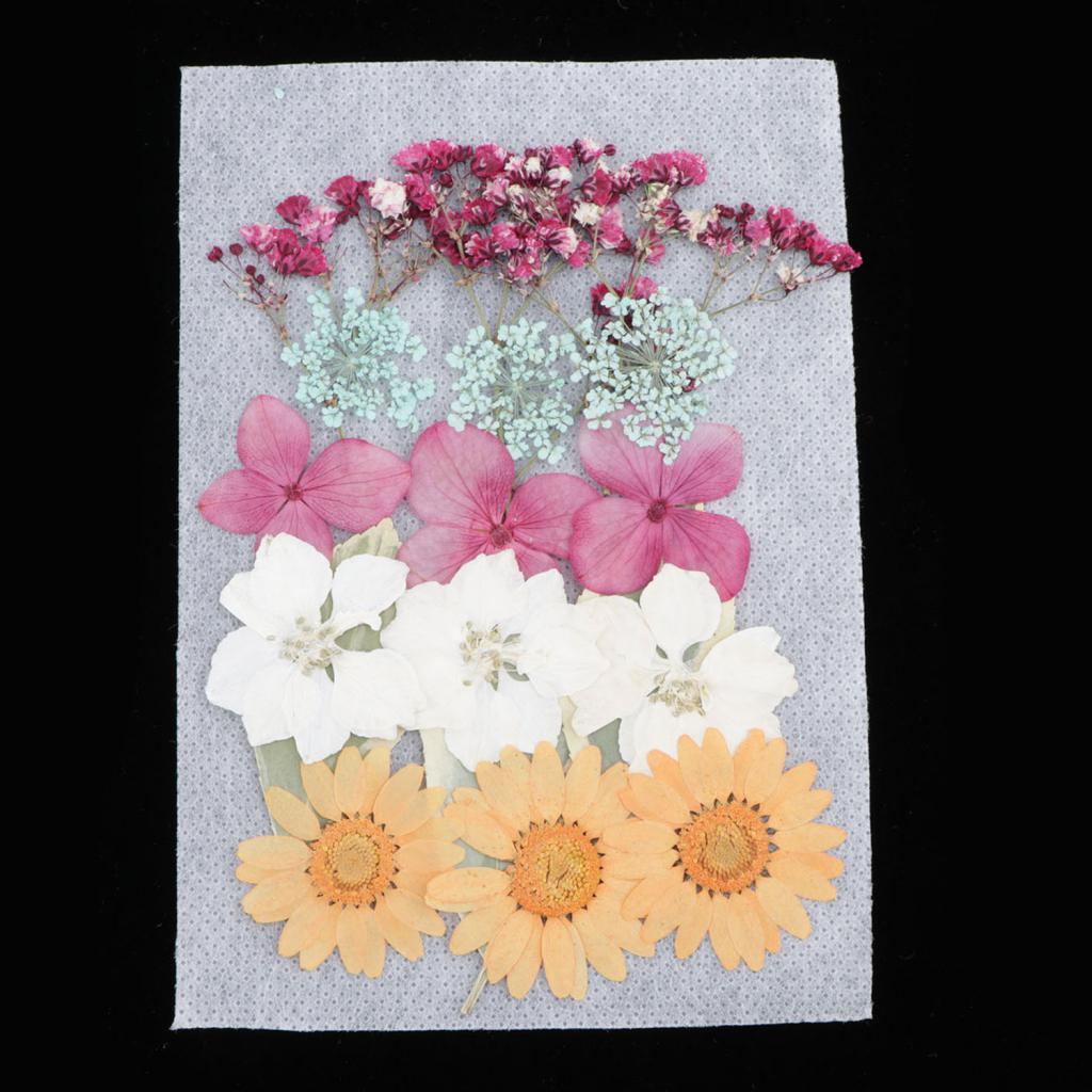 1 Bag Of Real Dried Pressed Flowers Leaves Assorted Colors for Making Greeting Card and Crafts, 2 - 3cm