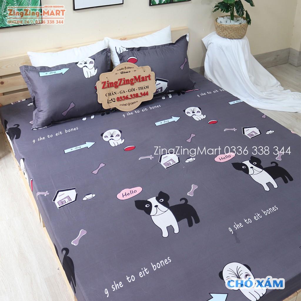 Combo Ga Và 2 Vỏ Gối Poly cotton m2/m6/m8/2m2 Mẫu Đa Dạng (Ibox shop nha)