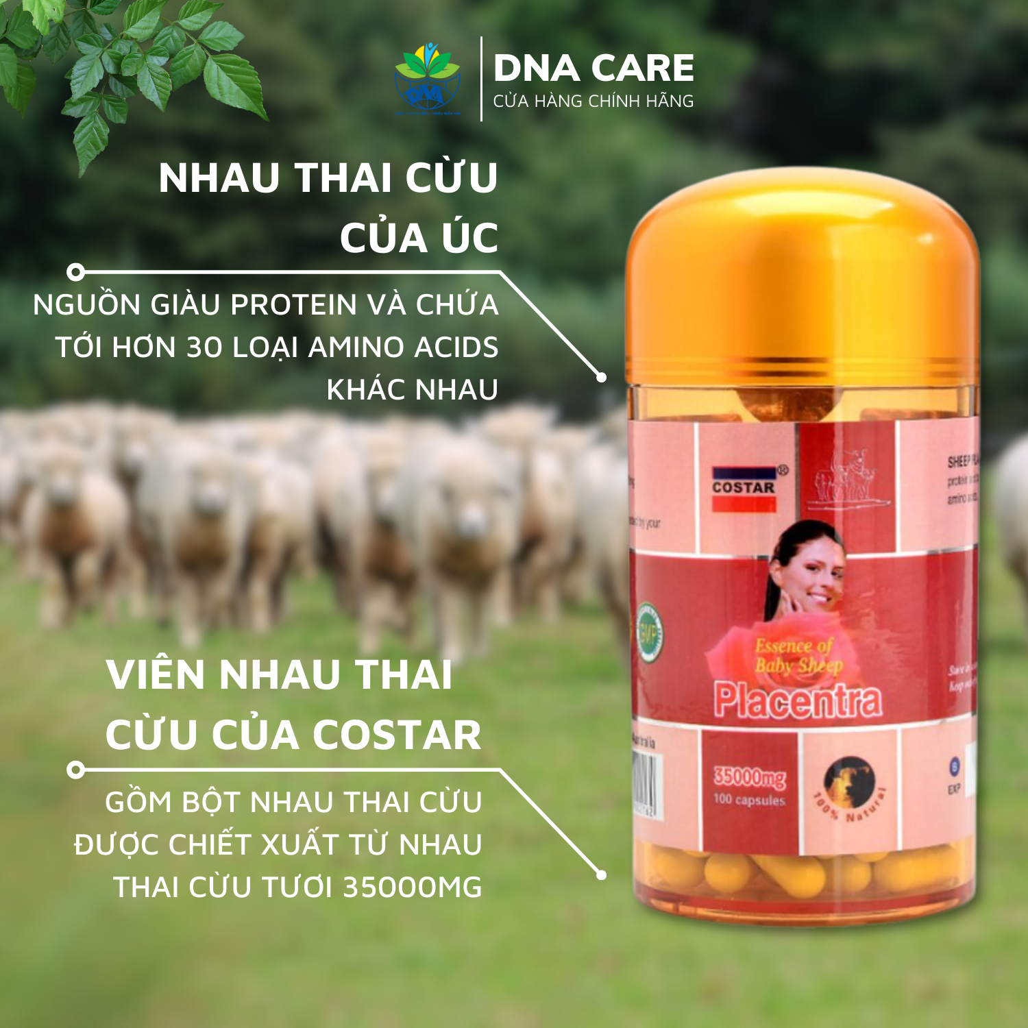 Viên uống nhau thai cừu Úc hộp 100 viên 35000mg