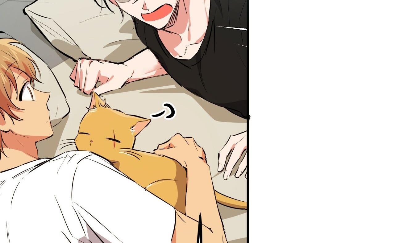 những chú thỏ của hapypy chapter 52 59