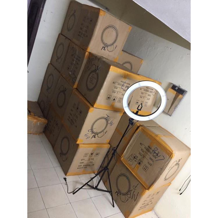 Đèn LIVESTREAM Rl 18