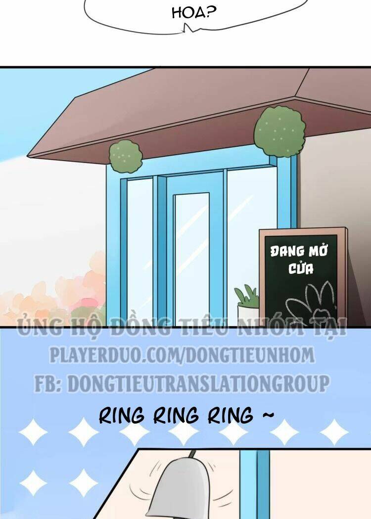 tiểu miêu và hắc diệu thạch chapter 9 10