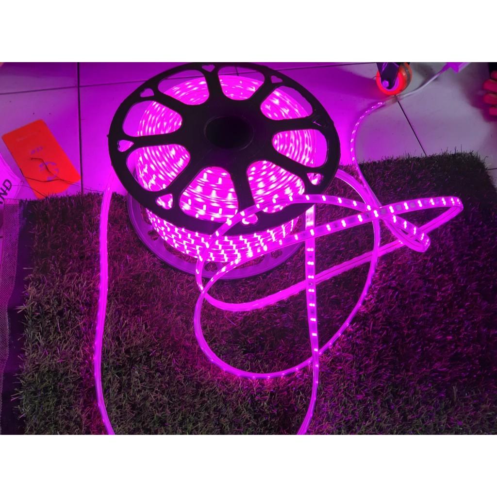 LED DÂY 2835 COMBO 10M LED 2835 CÓ KÈM NGUỒN ĐỨNG