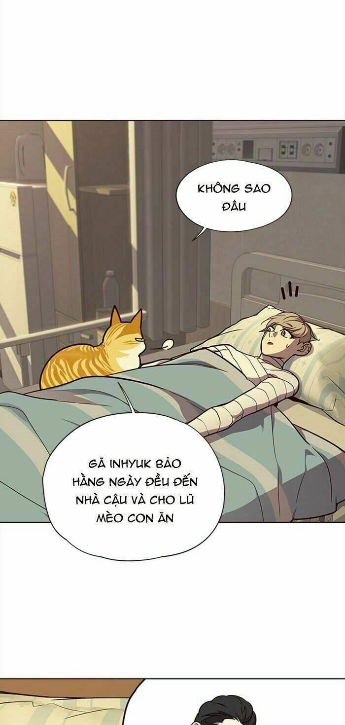 biến thân thành mèo chapter 30 9