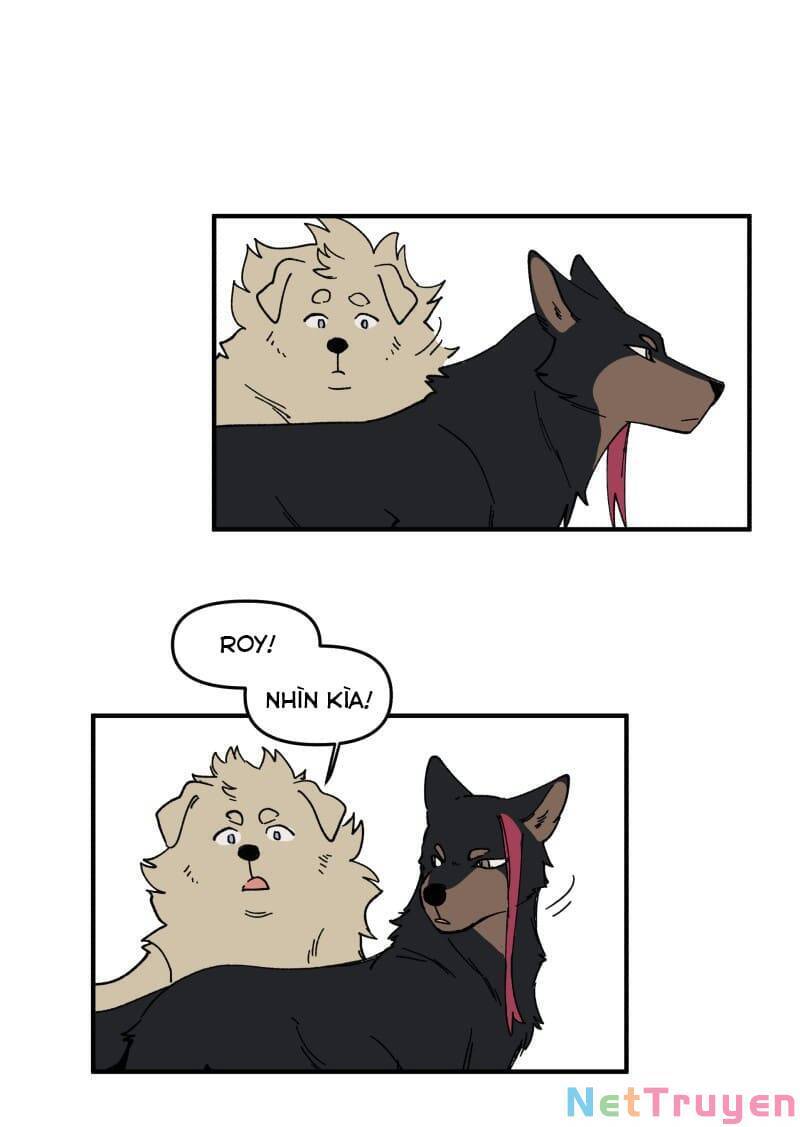 lumine - cội nguồn ánh sáng chapter 163 16