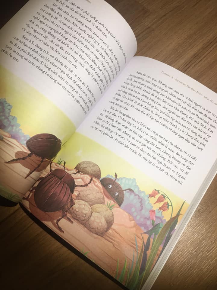 Côn Trùng Ký Của Fabre