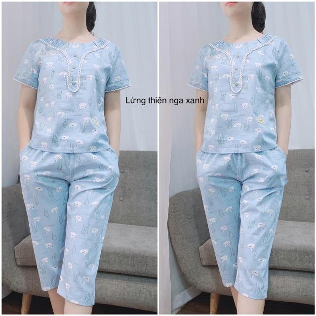 Bộ đồ ngố cộc tay