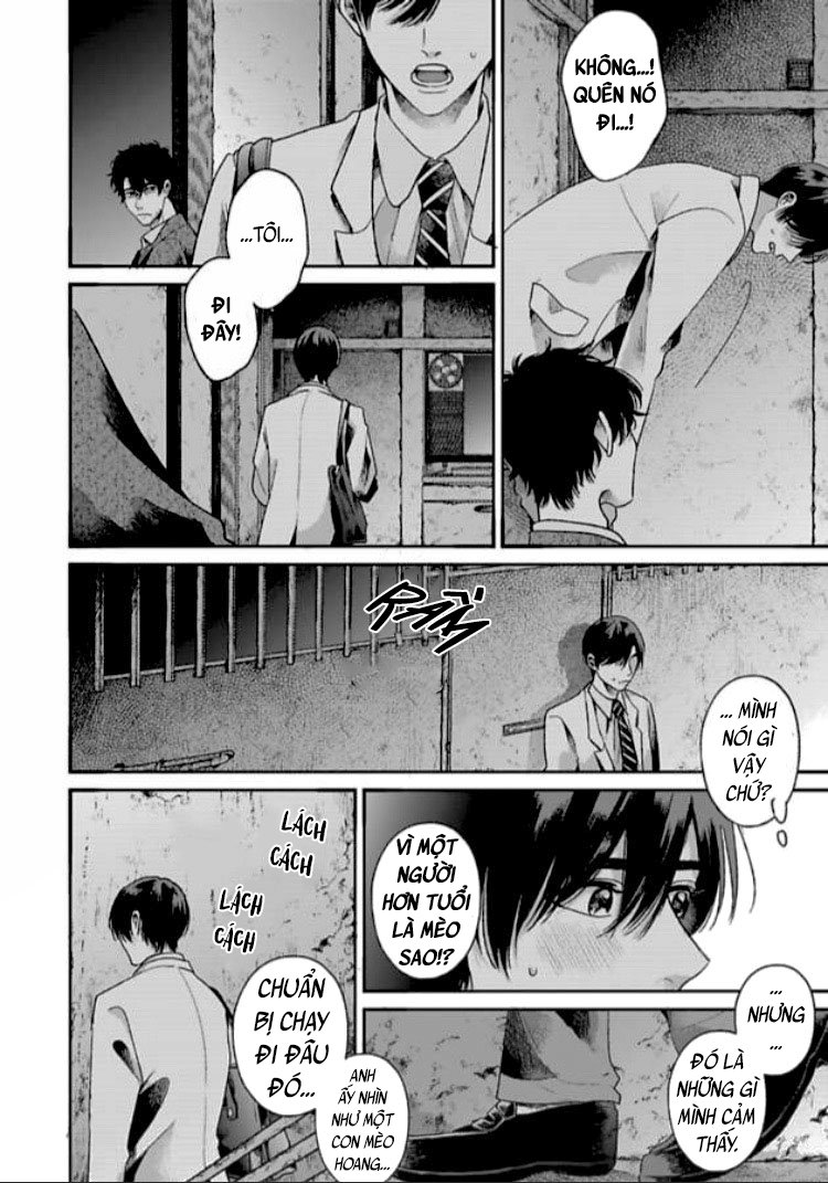 tạm biệt đồng phạm của tôi chapter 1 38