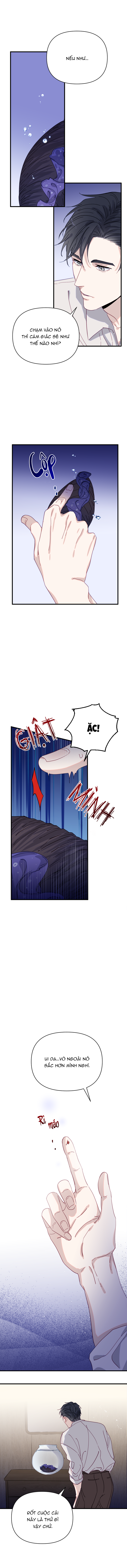 chàng tiên cá trên cạn chapter 1 21