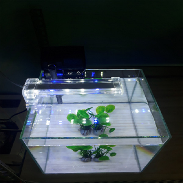 Đèn Led kẹp bể cá Xilong LED-D20