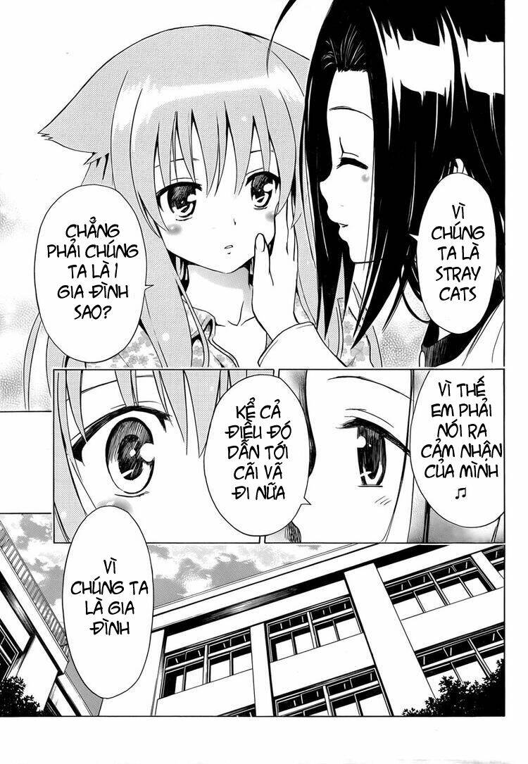 mayoi neko overrun! chapter 6 31