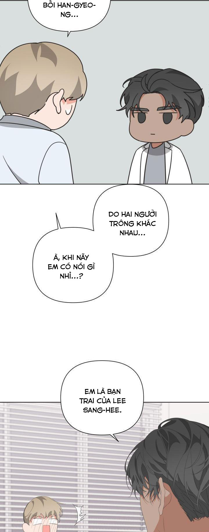 able chapter 31.1 33