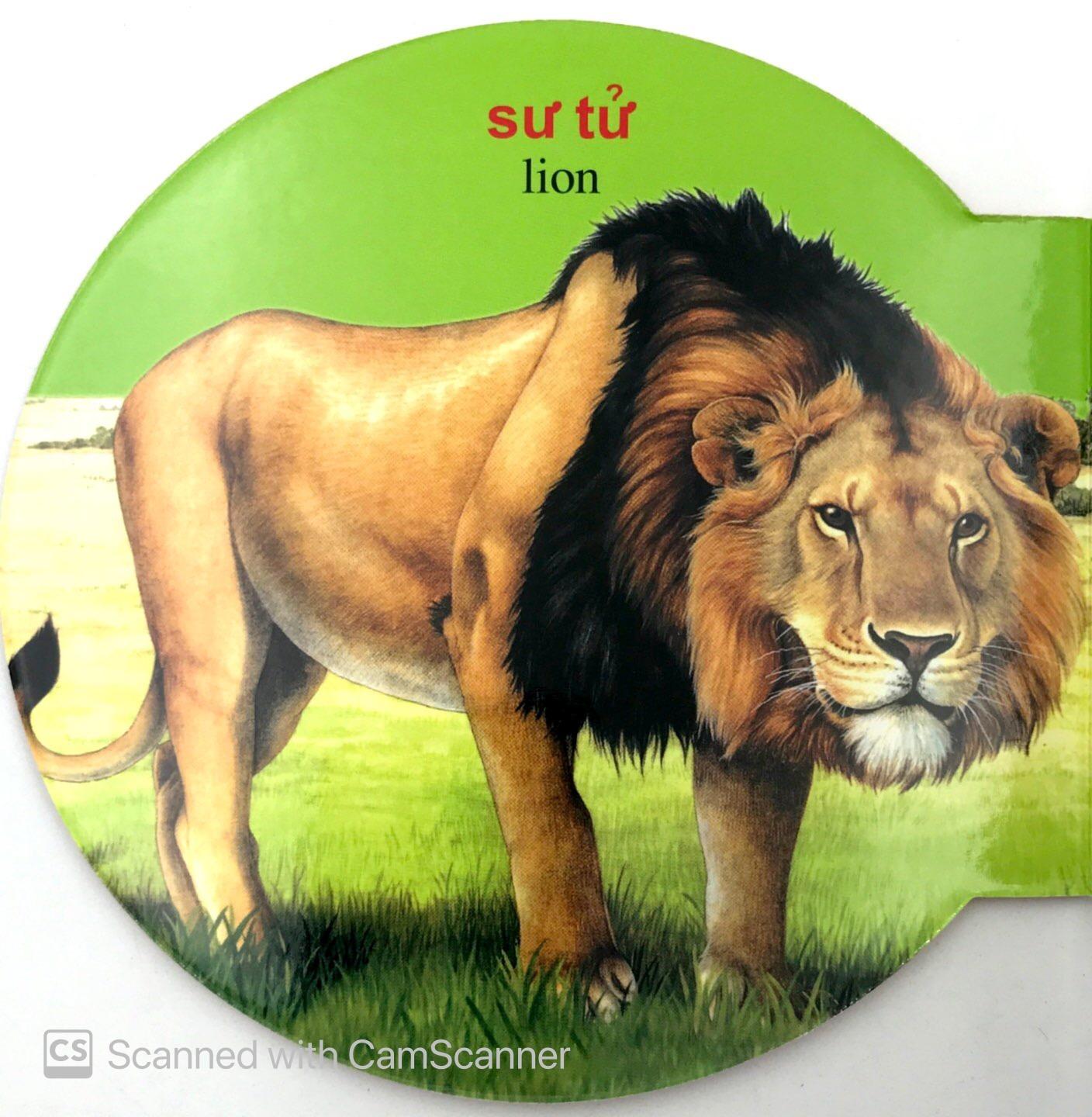 Từ Điển Anh - Việt Bằng Hình: Wild Animals - Động Vật Hoang Dã