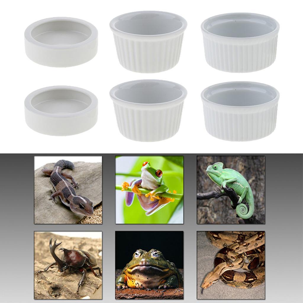 2 Pcs Reptile Feeder Ceramics Food Bowl Anti-escape Dish for Medium