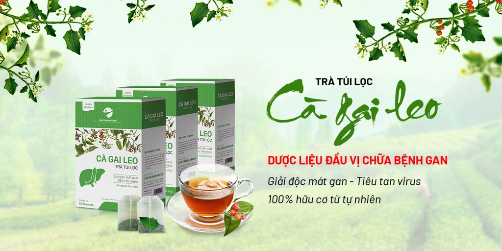 Trà túi lọc Cà Gai Leo giải độc gan Tân Thành Green hộp 50 túi