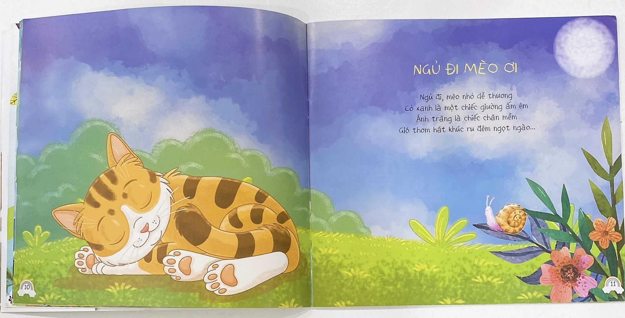 Đón Chào Ngày Mới