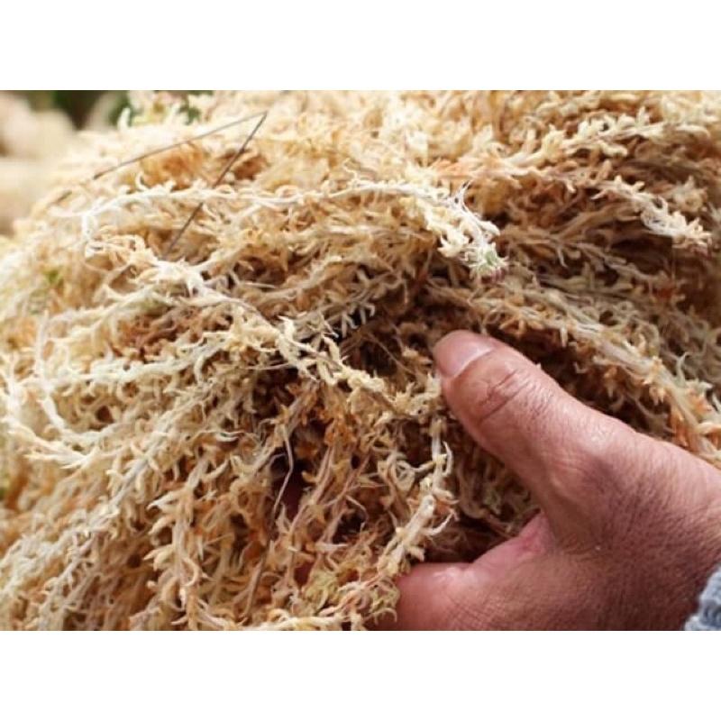 Gói 100g Rêu con sâu Chile , Giá thể giữ ẩm tuyệt vời cho phong lan, hay còn gọi là rêu sâu