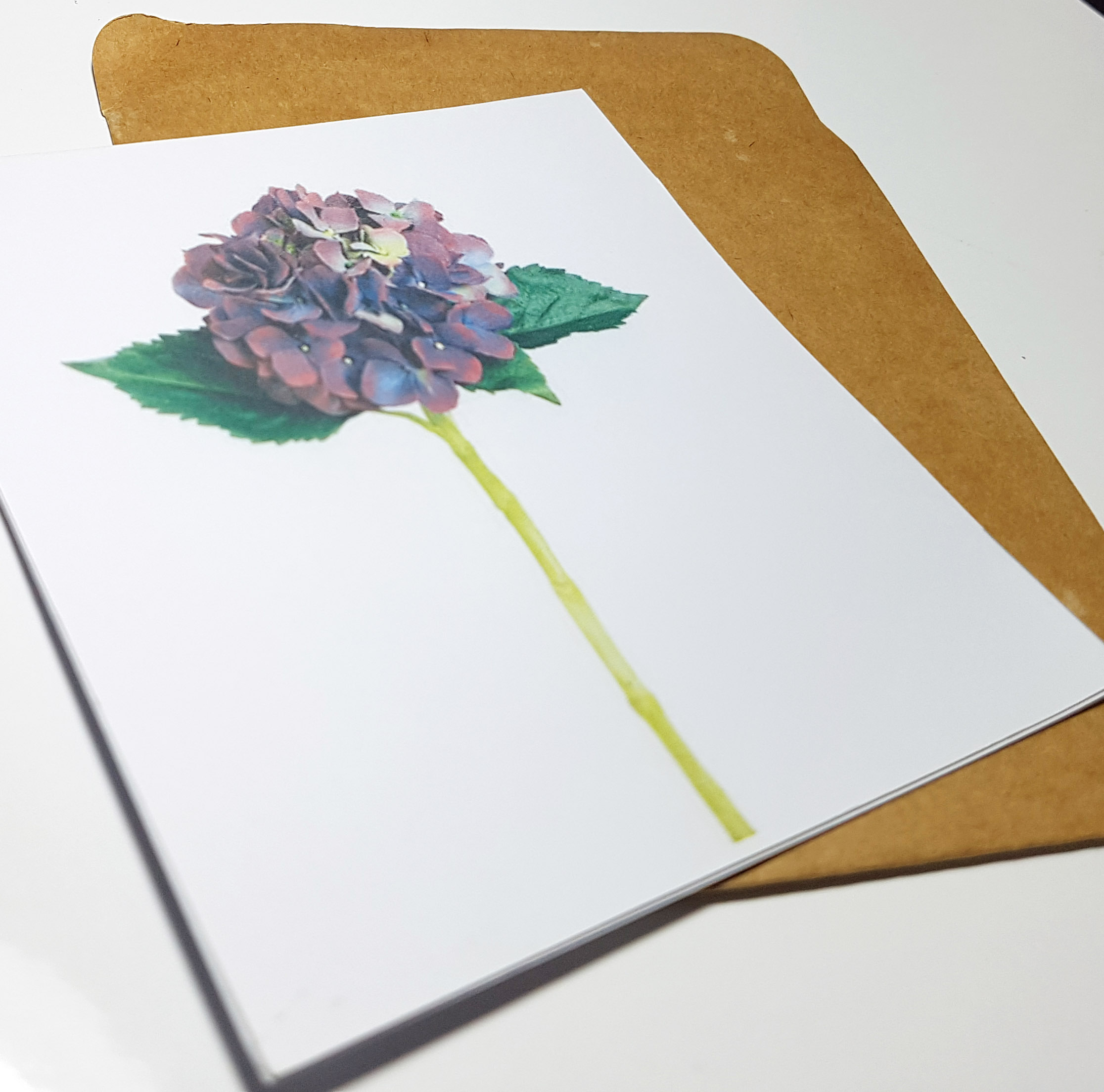 Thiệp phong cách Vintage card quà cám ơn ,chúc mừng sinh nhật và giử tặng người thân yêu