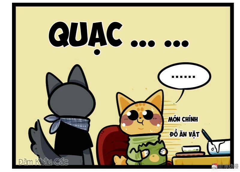 đời không như mình tưởng chapter 61 9