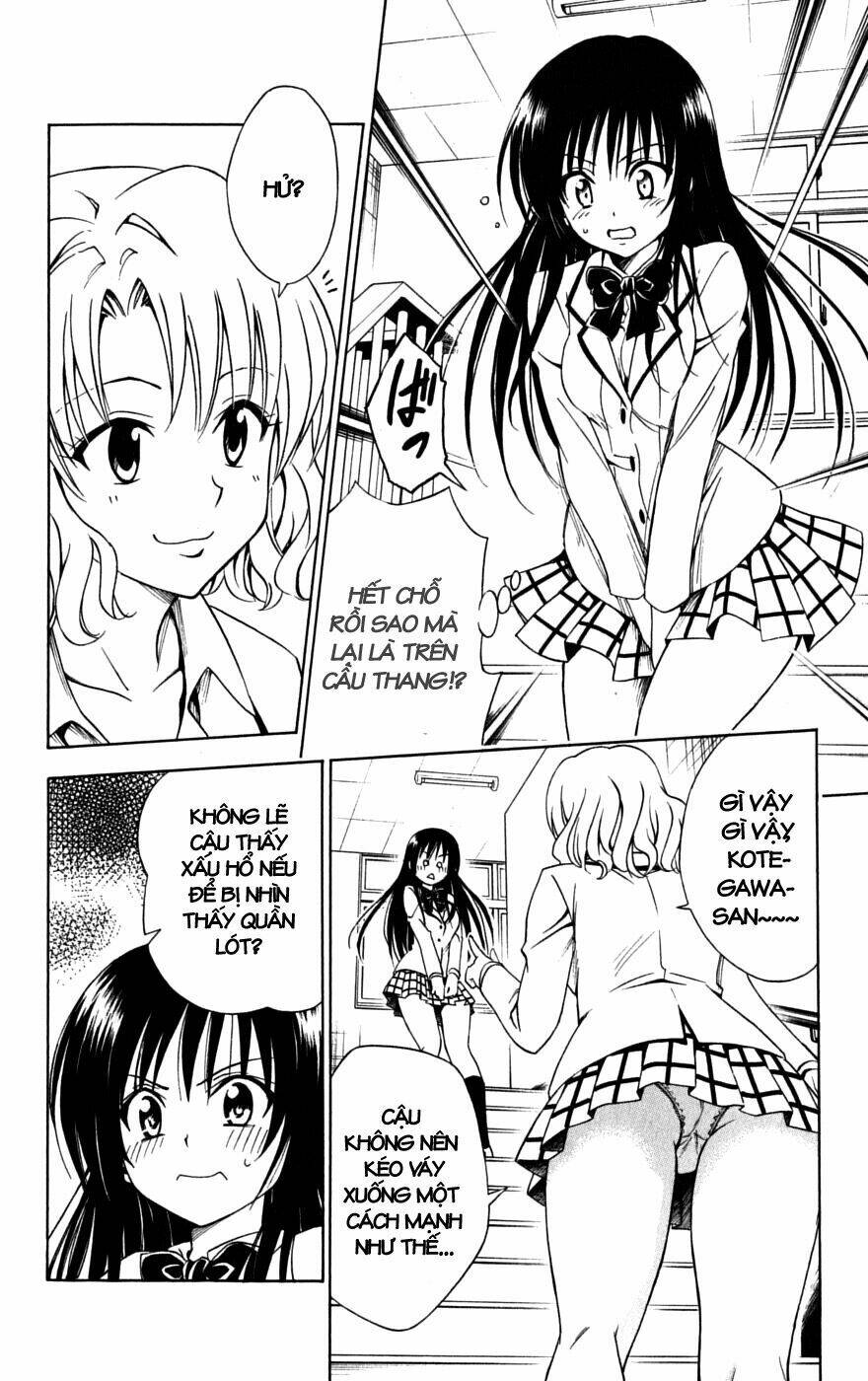 bọn tớ thích cậu! rito chapter 142 8