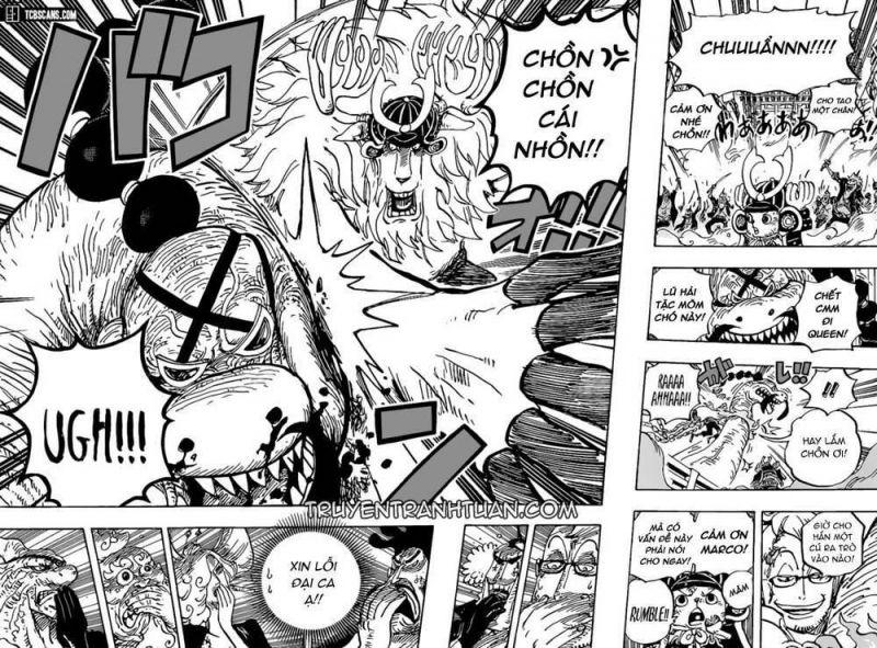 đảo hải tặc - one piece chapter 1007 12
