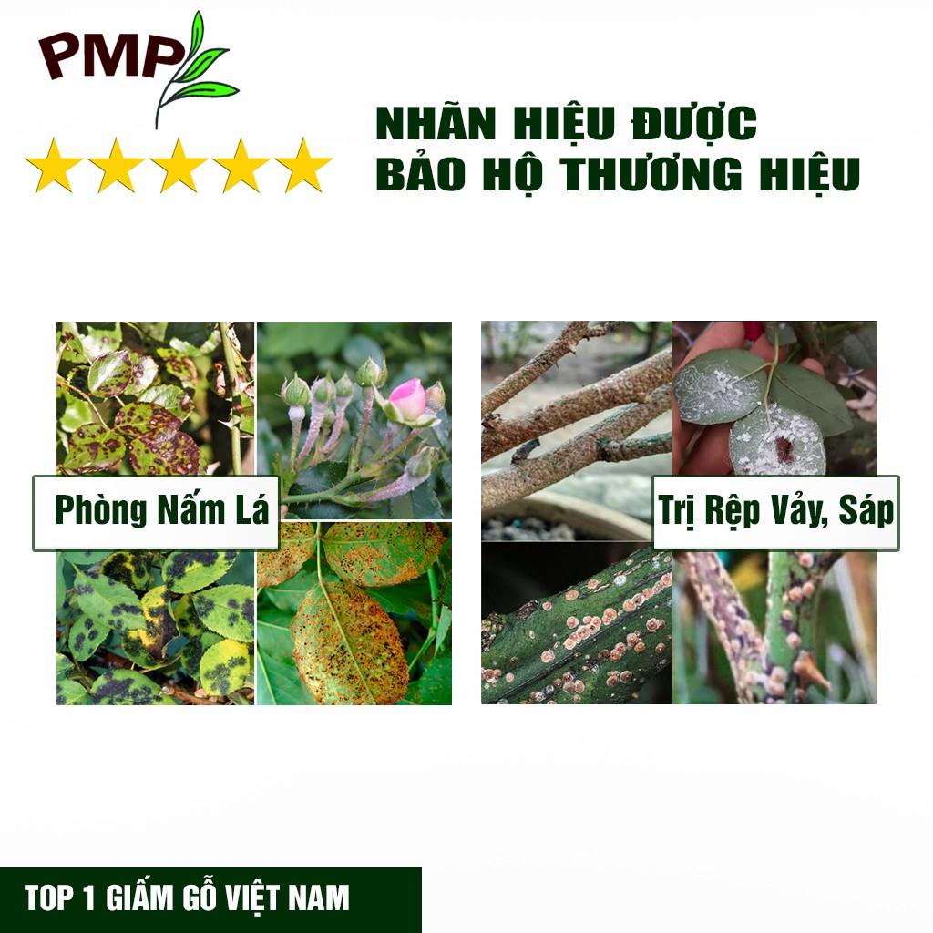 Giấm Gỗ Sinh Học APY PMP Kháng Đốm Lá, Đốm Đen, Vàng Lá, Phấn Trắng Cho Hoa Hồng, Rau Sạch, Lan, Cây Cảnh 100ml