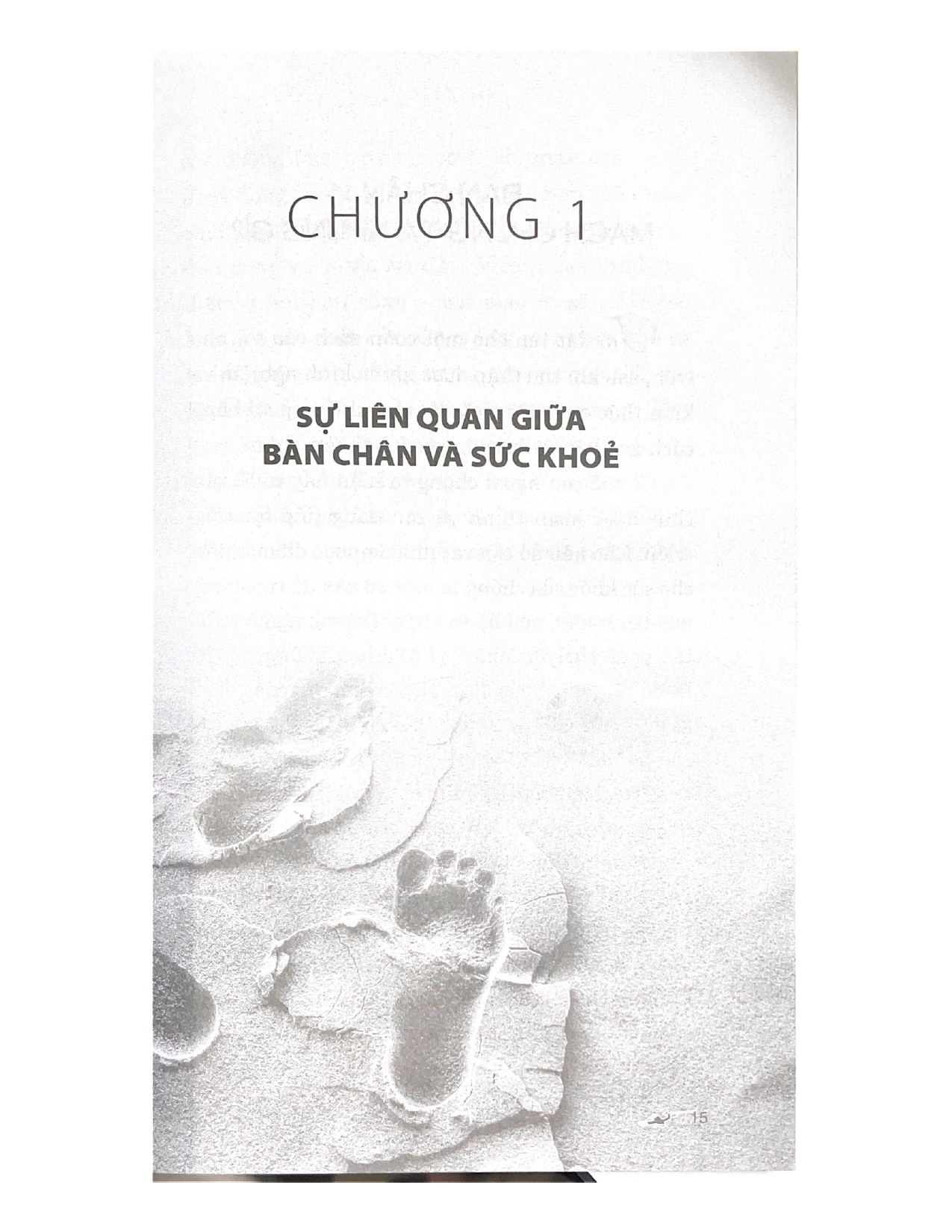 Bấm Huyệt Bàn Chân - Vanlangbooks - Tái Bản 2023